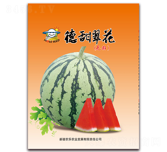 仨-ϷN-rrI