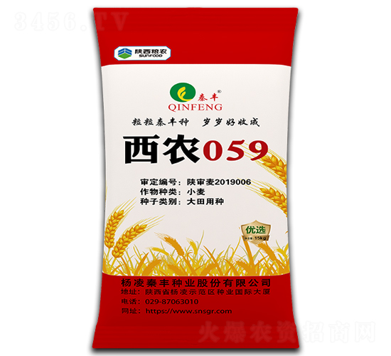 西農059-小麥種子