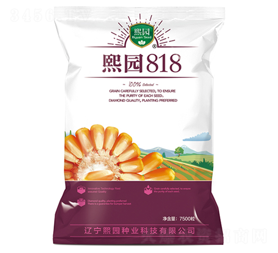 熙園818-玉米種子-熙園種業