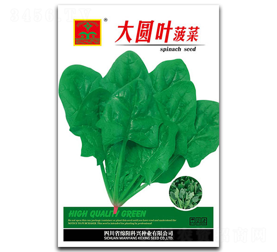 大圓葉菠菜-葉菜種子-科興種業