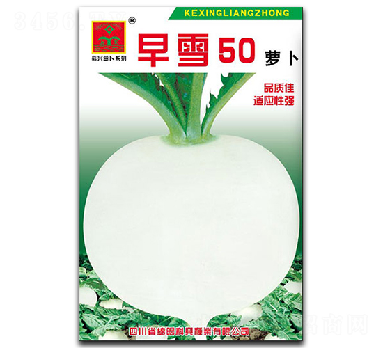 早雪50-蘿卜種子-科興種業