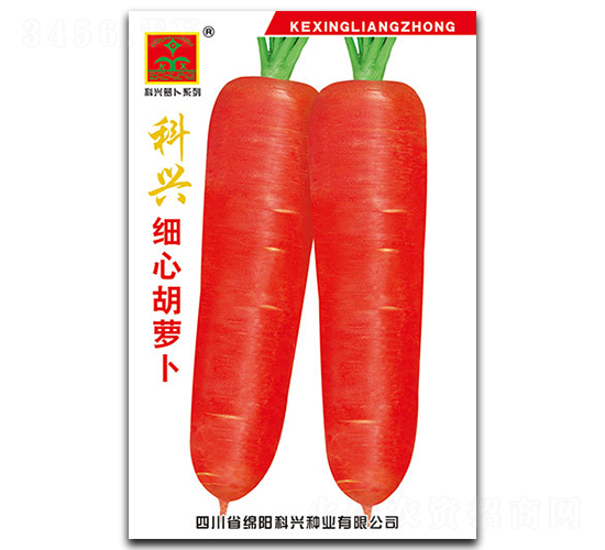 科興細心胡蘿卜-蘿卜種子-科興種業