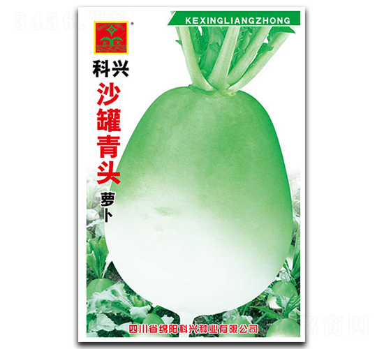沙罐靑頭蘿卜-蘿卜種子-科興種業