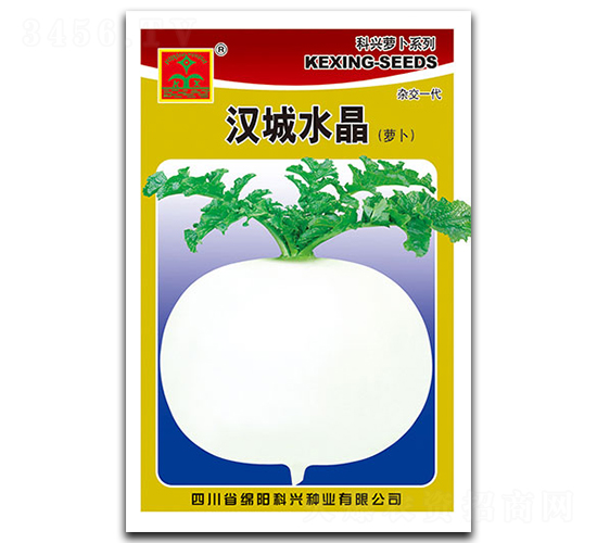 漢城水晶-蘿卜種子-科興種業