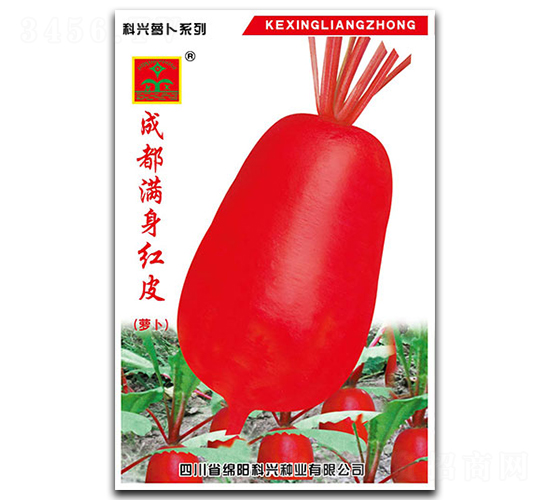 滿身紅皮蘿卜-蘿卜種子-科興種業