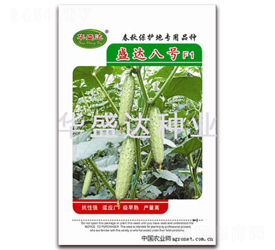 盛達八號F1-黃瓜種子-華盛達
