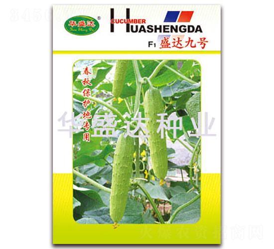 F1盛達九號-黃瓜種子-華盛達