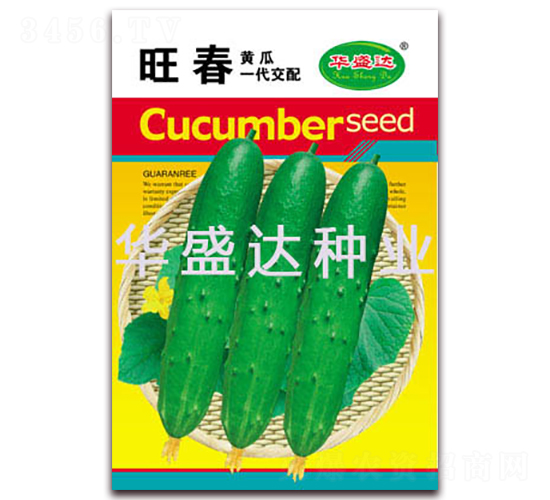 旺春-黃瓜種子-華盛達