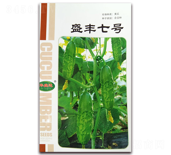 盛豐七號-黃瓜雜交種-華盛達