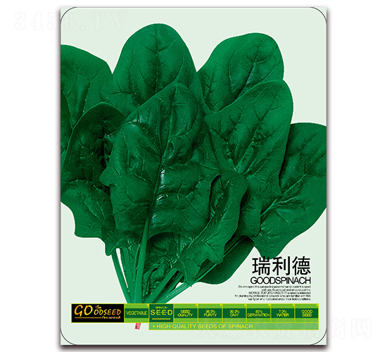 瑞利德-菠菜種子-三優高科