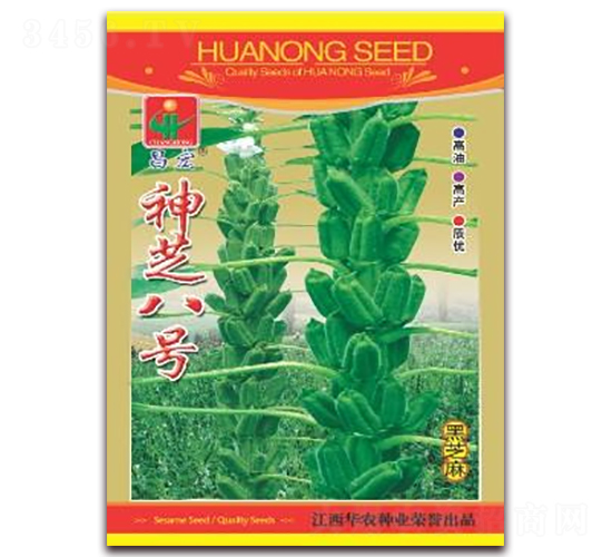 神芝八號(hào)-黑芝麻種子-華農(nóng)種業(yè)