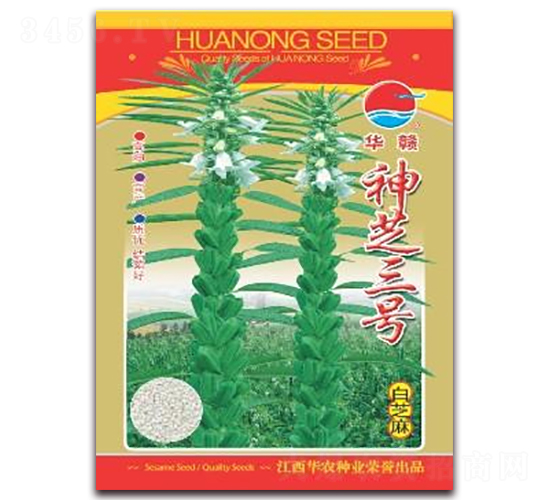 神芝三號-白芝麻種子-華農種業