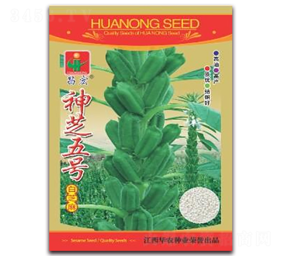 神芝五號(hào)-白芝麻種子-華農(nóng)種業(yè)