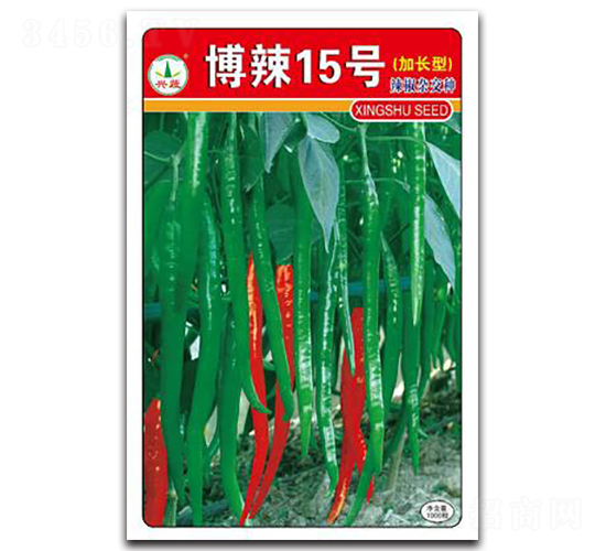 博辣15號-辣椒種子-興蔬種業