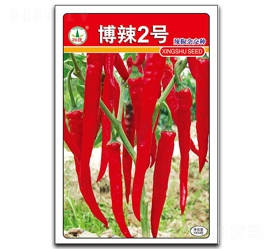 博辣2號-辣椒種子-興蔬種業