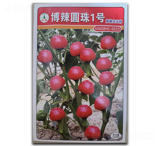 博辣圓珠1號-辣椒種子-興蔬種業