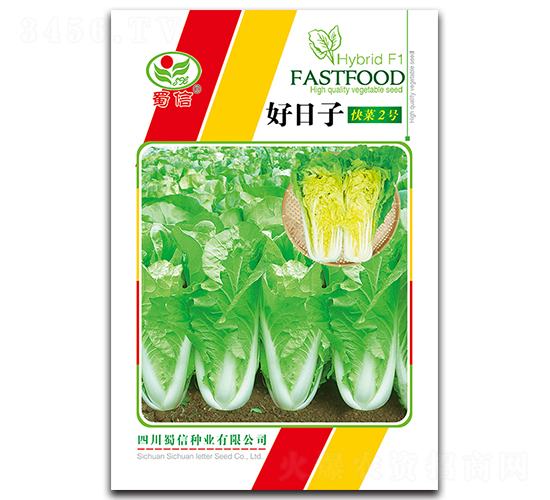 好日子快菜2號-青菜種子-蜀信種業