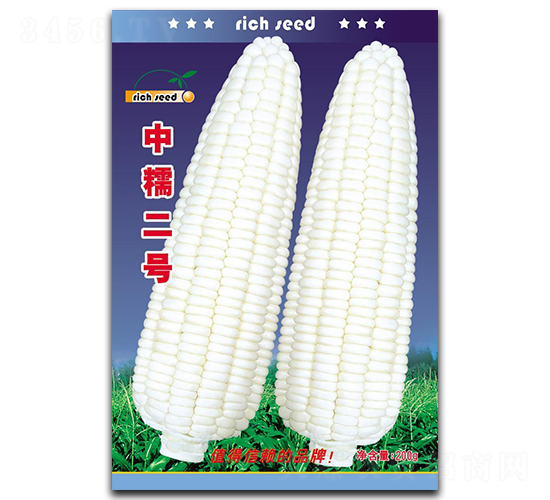 Ŵ̖-׷N-NI