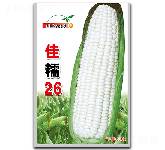 Ŵ26-׷N-NI
