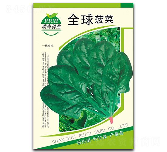 全球菠菜-菠菜種子-瑞奇種業