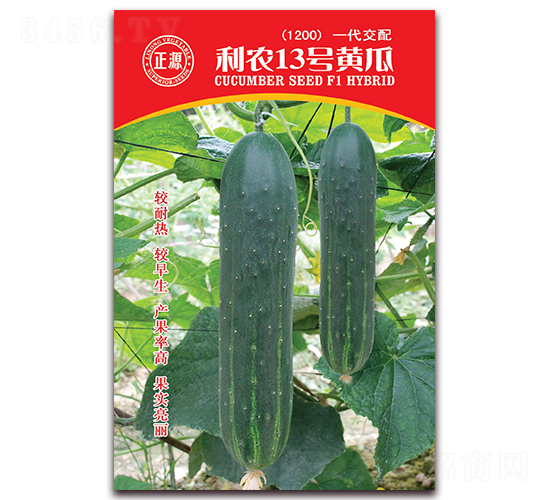 利農13號黃瓜（1200）-黃瓜種子-和利農