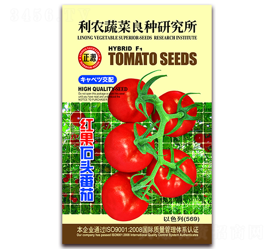 紅果石頭番茄（569）-番茄種子-和利農