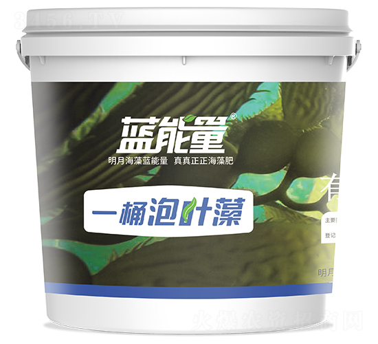 一桶泡葉藻-藍能量