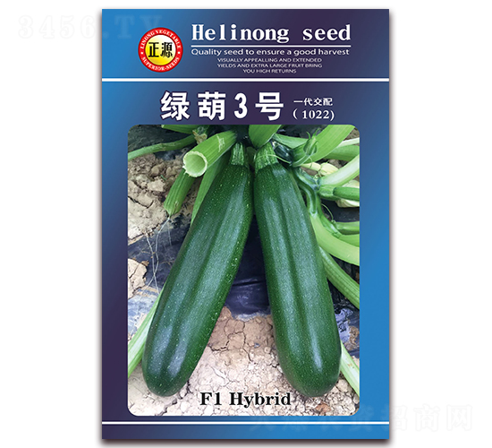 綠葫3號（1022）-西葫蘆種子-和利農(nóng)