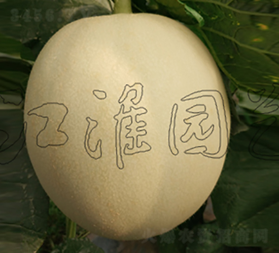 4̖-ϷN-@ˇ
