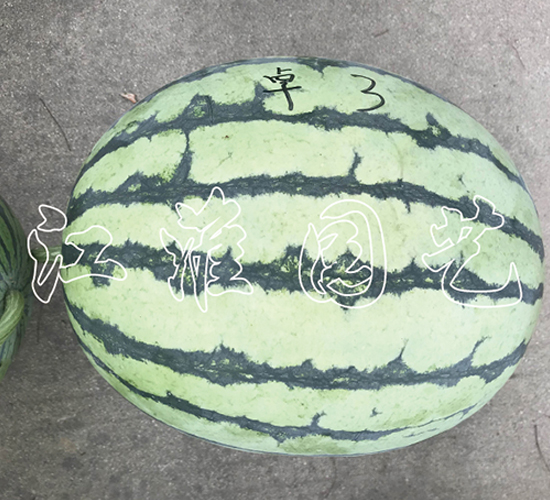 ׿Խ3̖-ϷN-@ˇ