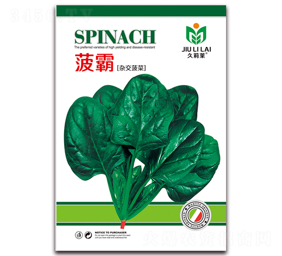 菠霸-菠菜種子-金鵬種業