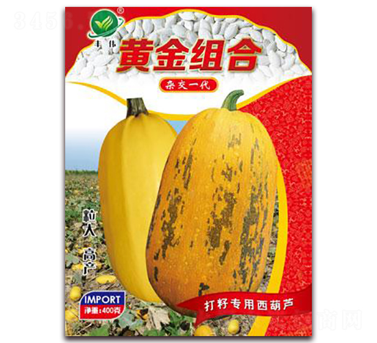 黃金組合-籽用西葫蘆種子-金鵬種業