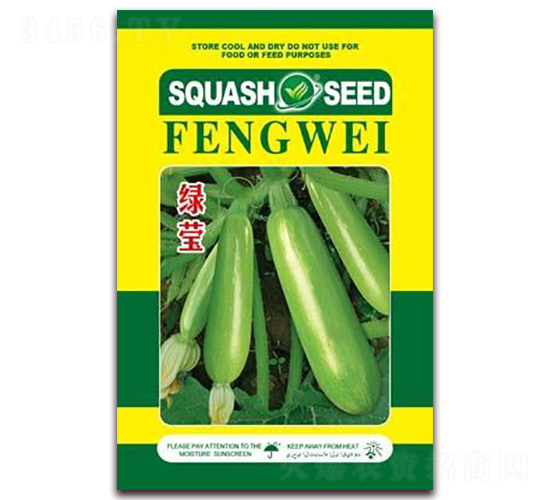 綠瑩-菜用西葫蘆種子-金鵬種業