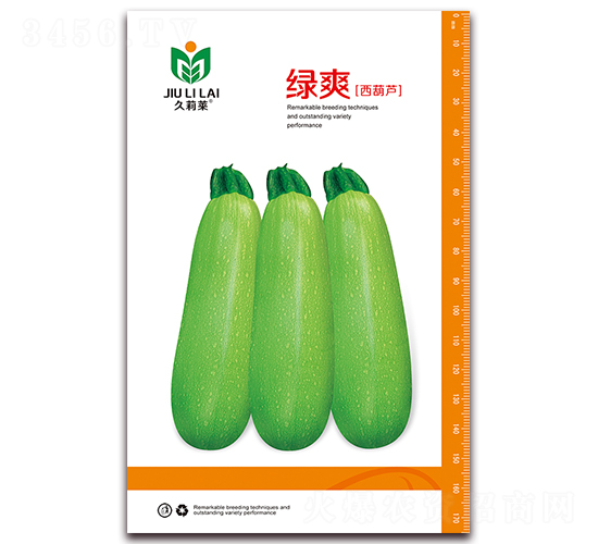 Gˬ-JN-iNI