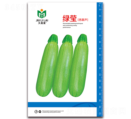 綠瑩西葫蘆-菜用西葫蘆種子-金鵬種業