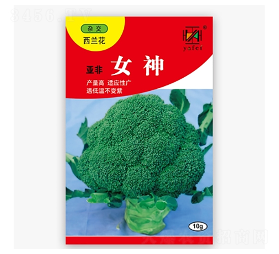 äºžéžå¥³ç¥ž-è¥¿è˜­èŠ±ç¨®å­-äºžéž