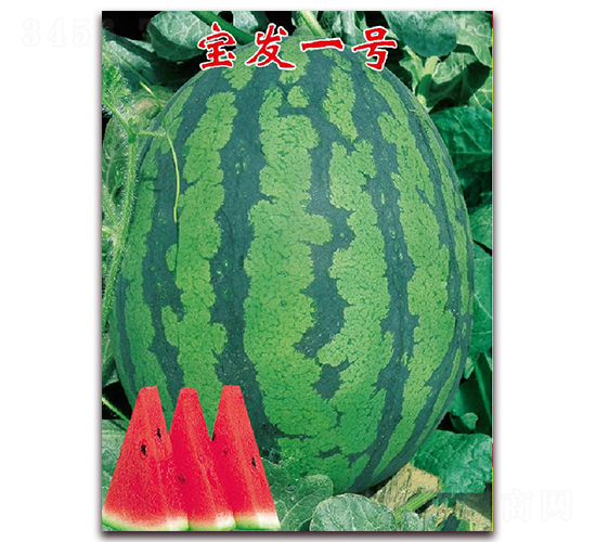 l(f)һ̖-ϷN-|