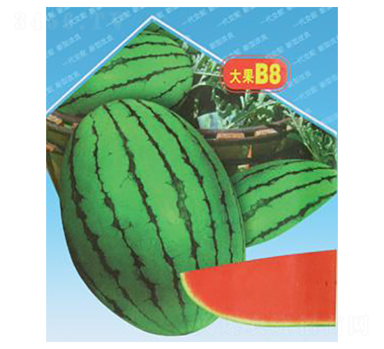 紺tB8-ϷN-΢ȷNI