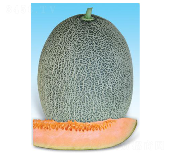 t̖-ϷN-΢ȷNI