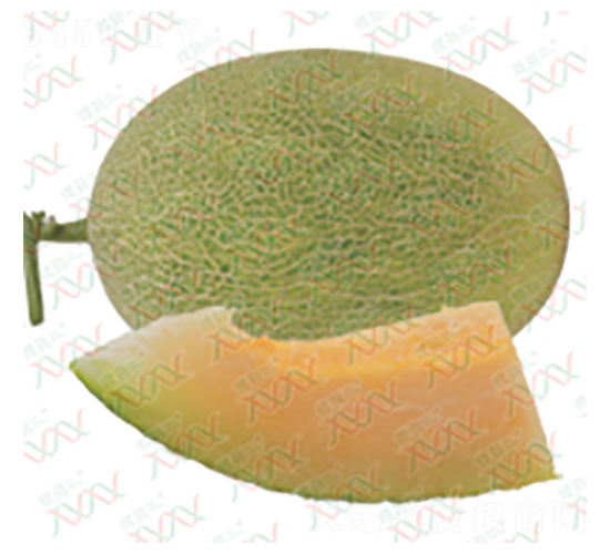 M-15017-ϷN-΢ȷNI