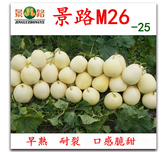 M26-25-ƤϷN-·NI