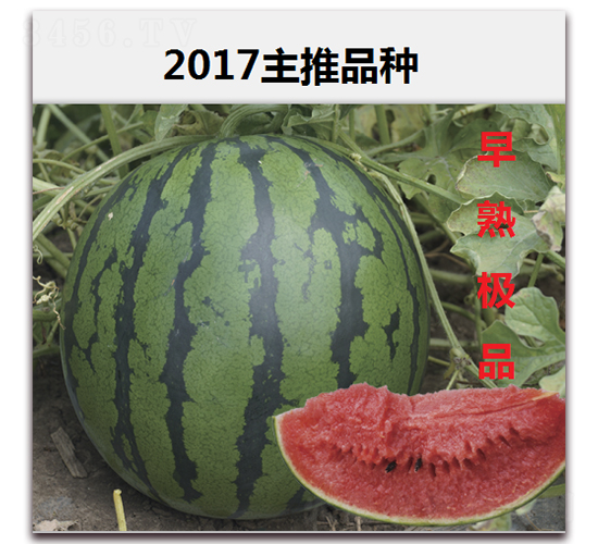 OƷ-ϷN-·NI