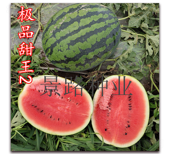 OƷ2̖-ϷN-·NI