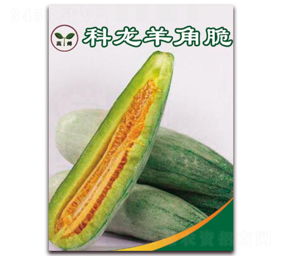 Ǵ-ƤϷN-N