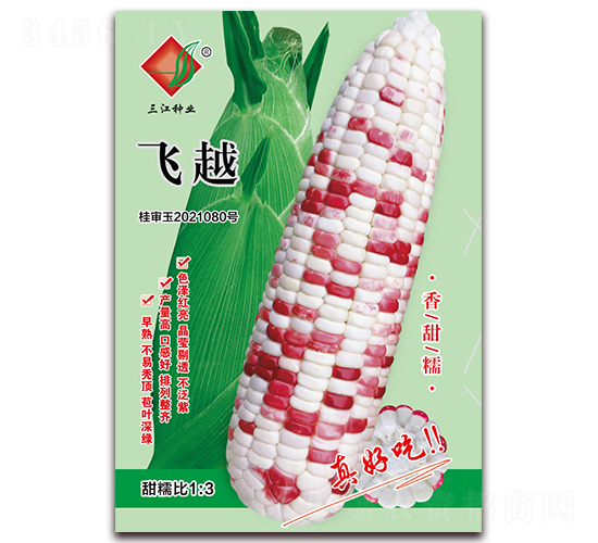 飛越-糯玉米種子-三江種業