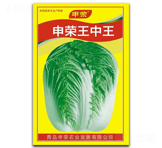 申榮王中王-大白菜種子-申榮農業