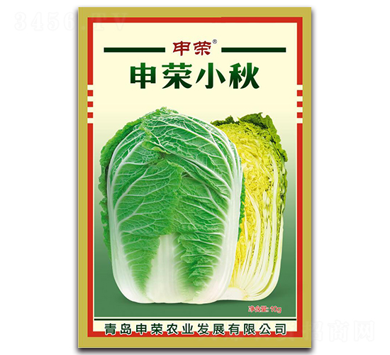 申榮小秋-大白菜種子-申榮農業