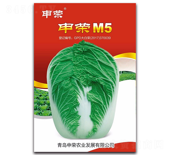 申榮M5-大白菜種子-申榮農業