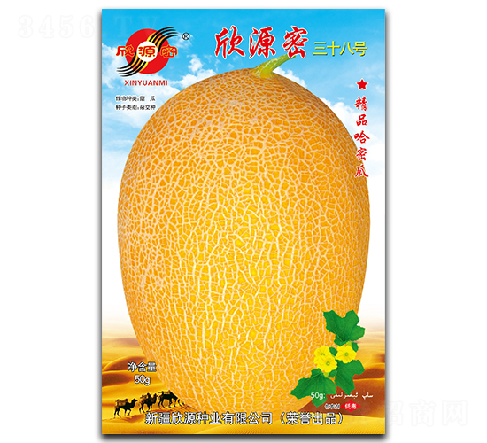 欣源密三十八號-甜瓜種子-欣源種業