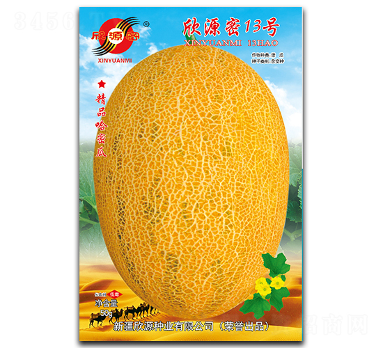 欣源密13號-甜瓜種子-欣源種業